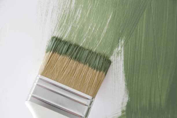 Trusted Ellendale, ND Mold Removal Experts
