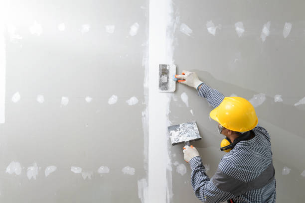  Elleale, ND Mold Removal Pros