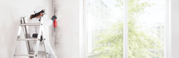 Mold Remediation for Rental Properties in Ellendale, ND
